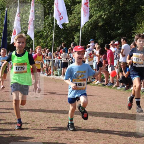 08.09.2024 - Airport Race Strokosch-Dieckow http://msf.ph/oto/7007707 08.09.2024 11:28:42 Ziel 1604, 1660, 1731, 1760, 1771, 1779, 1790, 1817, 1858, 1877, 1909, 1933, 3402, 3404, 3419, 3426 meine-sportfotos.de
