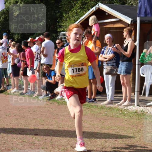08.09.2024 - Airport Race Strokosch-Dieckow http://msf.ph/oto/7007791 08.09.2024 11:28:44 Ziel 1604, 1660, 1731, 1760, 1771, 1779, 1817, 1855, 1858, 1877, 1909, 1933, 3402, 3404 meine-sportfotos.de