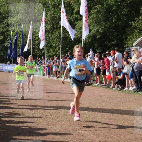 08.09.2024 - Airport Race Strokosch-Dieckow http://msf.ph/oto/7007824 08.09.2024 11:28:45 Ziel 1604, 1660, 1694, 1731, 1760, 1771, 1817, 1855, 1877, 1909, 1933, 3402, 3404 meine-sportfotos.de