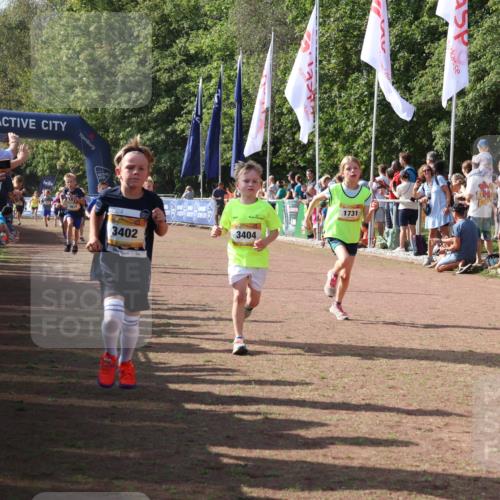 08.09.2024 - Airport Race Strokosch-Dieckow http://msf.ph/oto/7007851 08.09.2024 11:28:46 Ziel 1604, 1660, 1687, 1694, 1731, 1760, 1771, 1817, 1855, 1877, 1909, 1933, 3402, 3404 meine-sportfotos.de