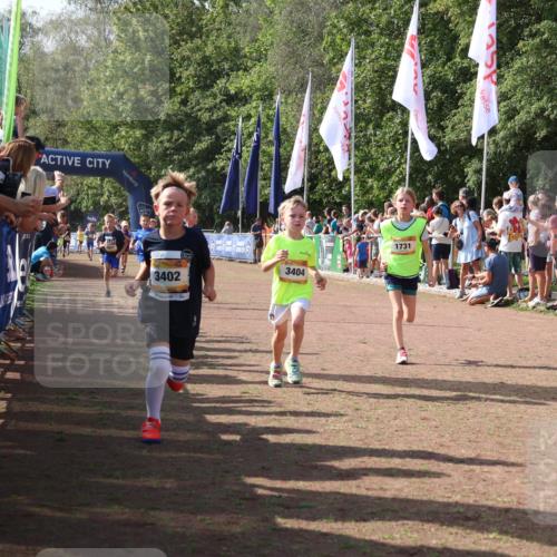 08.09.2024 - Airport Race Strokosch-Dieckow http://msf.ph/oto/7007871 08.09.2024 11:28:46 Ziel 1604, 1660, 1687, 1694, 1731, 1760, 1771, 1817, 1855, 1877, 1909, 1933, 3402, 3404 meine-sportfotos.de