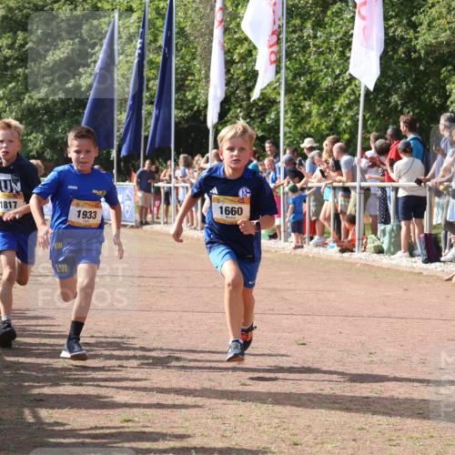 08.09.2024 - Airport Race Strokosch-Dieckow http://msf.ph/oto/7007935 08.09.2024 11:28:48 Ziel 1660, 1687, 1694, 1731, 1741, 1817, 1855, 1877, 1909, 1933, 3402, 3404 meine-sportfotos.de