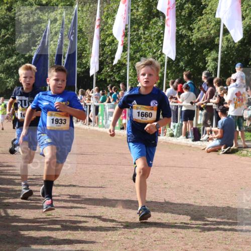 08.09.2024 - Airport Race Strokosch-Dieckow http://msf.ph/oto/7007963 08.09.2024 11:28:49 Ziel 1660, 1687, 1688, 1694, 1731, 1741, 1787, 1817, 1855, 1877, 1909, 1931, 1933, 3402, 3404 meine-sportfotos.de
