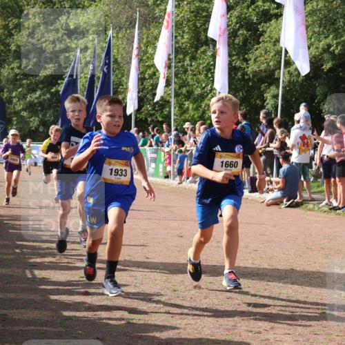 08.09.2024 - Airport Race Strokosch-Dieckow http://msf.ph/oto/7007976 08.09.2024 11:28:49 Ziel 1660, 1687, 1688, 1694, 1731, 1741, 1787, 1817, 1855, 1877, 1909, 1931, 1933, 3402, 3404 meine-sportfotos.de