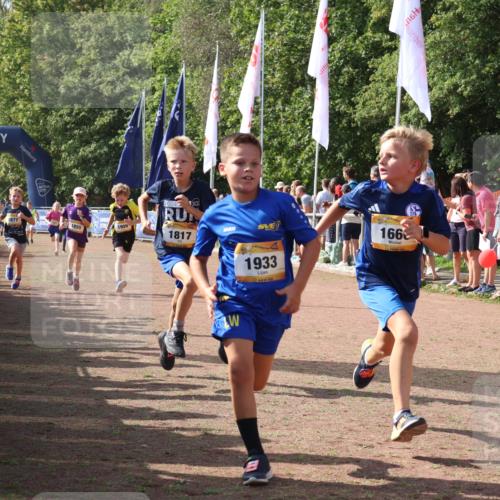 08.09.2024 - Airport Race Strokosch-Dieckow http://msf.ph/oto/7007990 08.09.2024 11:28:50 Ziel 1660, 1687, 1688, 1694, 1741, 1787, 1817, 1855, 1877, 1909, 1931, 1933, 3404 meine-sportfotos.de
