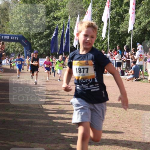 08.09.2024 - Airport Race Strokosch-Dieckow http://msf.ph/oto/7008167 08.09.2024 11:28:53 Ziel 1647, 1660, 1687, 1688, 1694, 1735, 1741, 1780, 1787, 1815, 1855, 1877, 1909, 1931 meine-sportfotos.de
