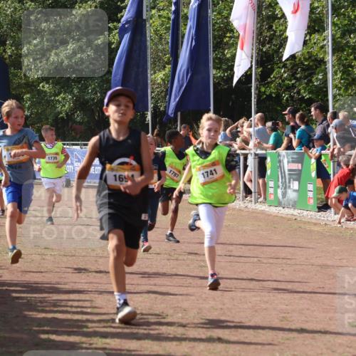 08.09.2024 - Airport Race Strokosch-Dieckow http://msf.ph/oto/7008179 08.09.2024 11:28:54 Ziel 1647, 1687, 1688, 1694, 1735, 1736, 1741, 1744, 1780, 1787, 1815, 1855, 1877, 1909, 1931 meine-sportfotos.de