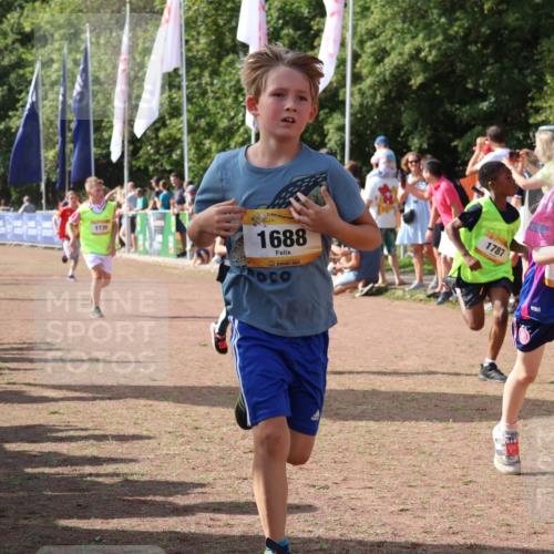 08.09.2024 - Airport Race Strokosch-Dieckow http://msf.ph/oto/7008357 08.09.2024 11:28:58 Ziel 1647, 1687, 1688, 1735, 1736, 1741, 1744, 1780, 1787, 1813, 1815, 1847, 1859, 1865, 1931, 1935, 1940 meine-sportfotos.de