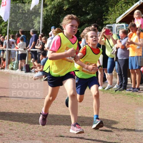 08.09.2024 - Airport Race Strokosch-Dieckow http://msf.ph/oto/7008501 08.09.2024 11:29:02 Ziel 1647, 1735, 1736, 1744, 1765, 1780, 1811, 1813, 1815, 1846, 1847, 1859, 1865, 1935, 1940, 3411 meine-sportfotos.de