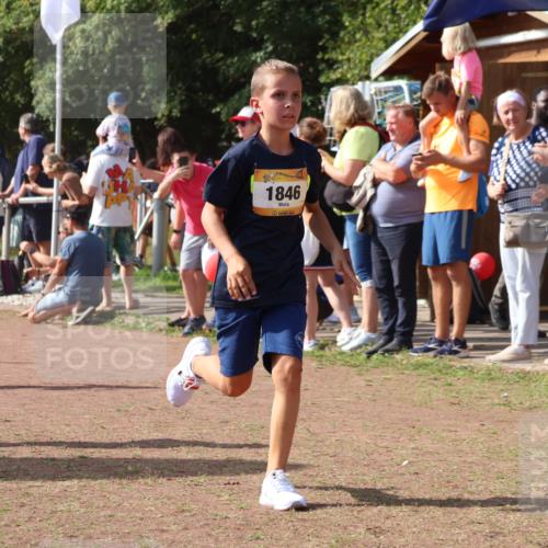 08.09.2024 - Airport Race Strokosch-Dieckow http://msf.ph/oto/7008798 08.09.2024 11:29:08 Ziel 1765, 1811, 1813, 1826, 1846, 1847, 1865, 1940, 3411, 3450 meine-sportfotos.de