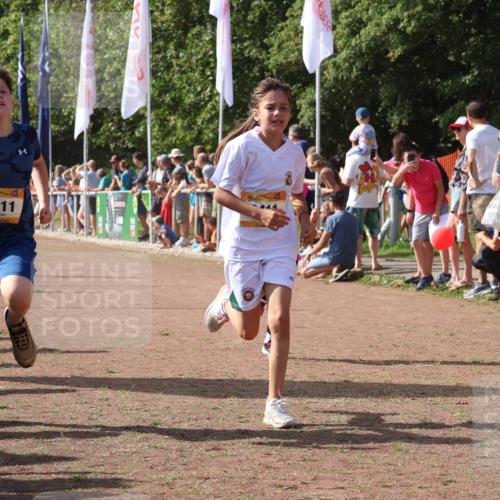 08.09.2024 - Airport Race Strokosch-Dieckow http://msf.ph/oto/7008835 08.09.2024 11:29:09 Ziel 1765, 1811, 1813, 1826, 1846, 1847, 1888, 1940, 3411, 3450 meine-sportfotos.de