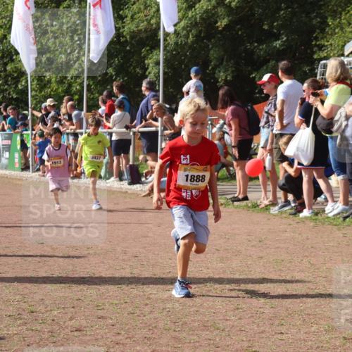 08.09.2024 - Airport Race Strokosch-Dieckow http://msf.ph/oto/7009122 08.09.2024 11:29:17 Ziel 1686, 1710, 1711, 1800, 1826, 1854, 1888, 1913, 3437, 3442, 3450 meine-sportfotos.de