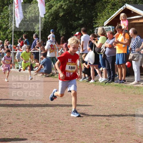 08.09.2024 - Airport Race Strokosch-Dieckow http://msf.ph/oto/7009146 08.09.2024 11:29:17 Ziel 1686, 1710, 1711, 1800, 1826, 1854, 1888, 1913, 3437, 3442, 3450 meine-sportfotos.de