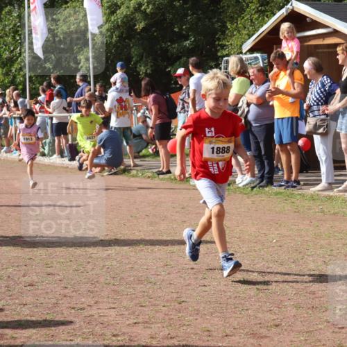 08.09.2024 - Airport Race Strokosch-Dieckow http://msf.ph/oto/7009166 08.09.2024 11:29:17 Ziel 1686, 1710, 1711, 1800, 1826, 1854, 1888, 1913, 3437, 3442, 3450 meine-sportfotos.de