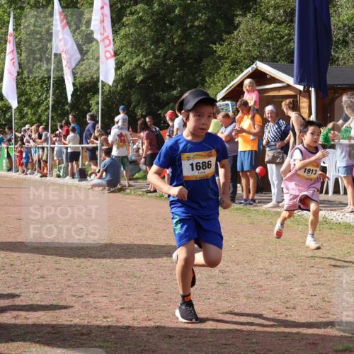 08.09.2024 - Airport Race Strokosch-Dieckow http://msf.ph/oto/7009358 08.09.2024 11:29:20 Ziel 1630, 1651, 1686, 1710, 1711, 1800, 1854, 1888, 1913, 3437, 3442 meine-sportfotos.de