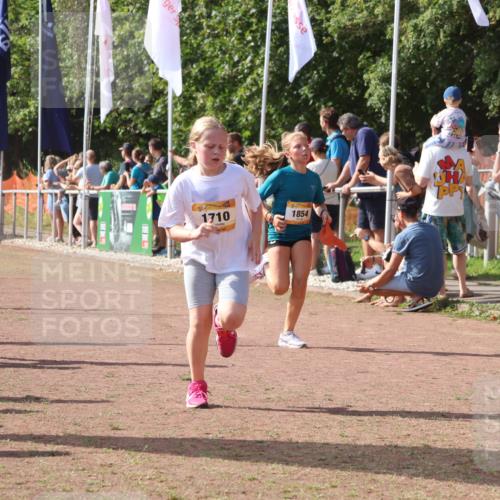 08.09.2024 - Airport Race Strokosch-Dieckow http://msf.ph/oto/7009391 08.09.2024 11:29:23 Ziel 1630, 1644, 1651, 1686, 1696, 1710, 1711, 1778, 1854, 1913, 1920, 3414, 3437, 3442 meine-sportfotos.de