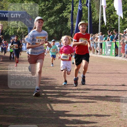 08.09.2024 - Airport Race Strokosch-Dieckow http://msf.ph/oto/7009468 08.09.2024 11:29:24 Ziel 1630, 1644, 1651, 1656, 1696, 1699, 1701, 1710, 1711, 1778, 1854, 1913, 1920, 3414, 3442 meine-sportfotos.de