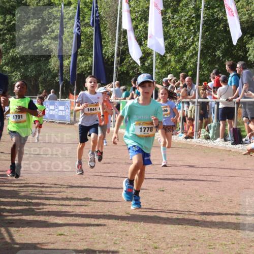 08.09.2024 - Airport Race Strokosch-Dieckow http://msf.ph/oto/7009736 08.09.2024 11:29:29 Ziel 1630, 1635, 1637, 1641, 1644, 1651, 1656, 1696, 1699, 1701, 1772, 1778, 1791, 1891, 1920, 3414, 3442 meine-sportfotos.de