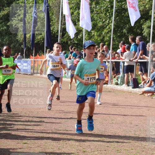 08.09.2024 - Airport Race Strokosch-Dieckow http://msf.ph/oto/7009755 08.09.2024 11:29:29 Ziel 1630, 1635, 1637, 1641, 1644, 1651, 1656, 1696, 1699, 1701, 1772, 1778, 1791, 1891, 1920, 3414, 3442 meine-sportfotos.de