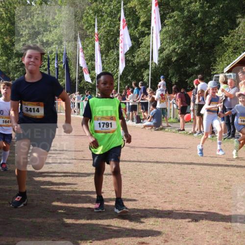 08.09.2024 - Airport Race Strokosch-Dieckow http://msf.ph/oto/7009960 08.09.2024 11:29:33 Ziel 1635, 1636, 1637, 1641, 1644, 1656, 1667, 1696, 1699, 1701, 1772, 1778, 1791, 1849, 1864, 1891, 1920, 1922, 3414 meine-sportfotos.de