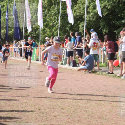 08.09.2024 - Airport Race Strokosch-Dieckow http://msf.ph/oto/7010123 08.09.2024 11:29:36 Ziel 1635, 1636, 1637, 1641, 1656, 1667, 1699, 1701, 1769, 1772, 1789, 1791, 1849, 1864, 1891, 1916, 1922, 3434 meine-sportfotos.de