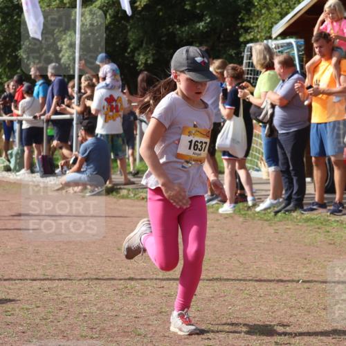 08.09.2024 - Airport Race Strokosch-Dieckow http://msf.ph/oto/7010170 08.09.2024 11:29:37 Ziel 1634, 1635, 1636, 1637, 1641, 1667, 1769, 1772, 1789, 1791, 1836, 1849, 1864, 1891, 1916, 1922, 3434 meine-sportfotos.de
