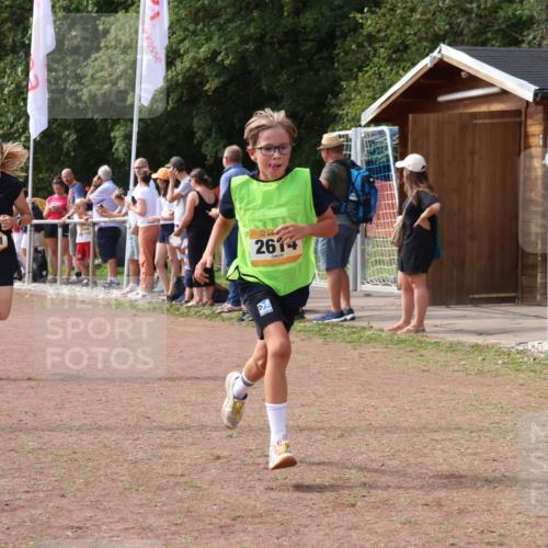 08.09.2024 - Airport Race Strokosch-Dieckow http://msf.ph/oto/7010182 08.09.2024 12:03:18 Ziel 1262, 2614, 3081 meine-sportfotos.de