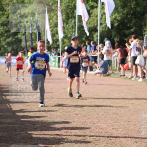 08.09.2024 - Airport Race Strokosch-Dieckow http://msf.ph/oto/7010263 08.09.2024 11:29:39 Ziel 1634, 1635, 1636, 1637, 1667, 1728, 1769, 1789, 1836, 1844, 1849, 1864, 1891, 1916, 1922, 3434 meine-sportfotos.de