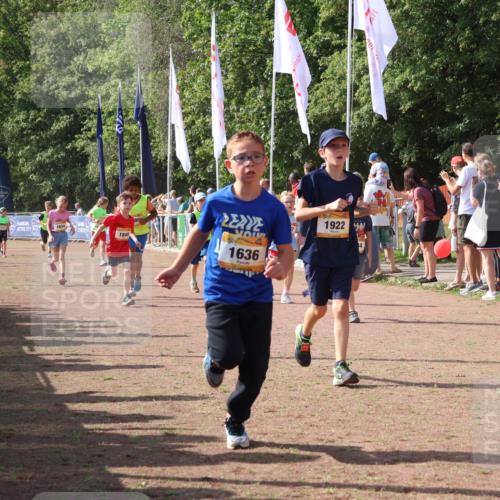 08.09.2024 - Airport Race Strokosch-Dieckow http://msf.ph/oto/7010295 08.09.2024 11:29:40 Ziel 1634, 1635, 1636, 1637, 1667, 1728, 1769, 1789, 1836, 1844, 1849, 1864, 1916, 1922, 3434 meine-sportfotos.de