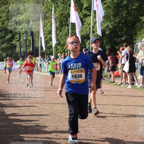 08.09.2024 - Airport Race Strokosch-Dieckow http://msf.ph/oto/7010303 08.09.2024 11:29:40 Ziel 1634, 1635, 1636, 1637, 1667, 1728, 1769, 1789, 1836, 1844, 1849, 1864, 1916, 1922, 3434 meine-sportfotos.de