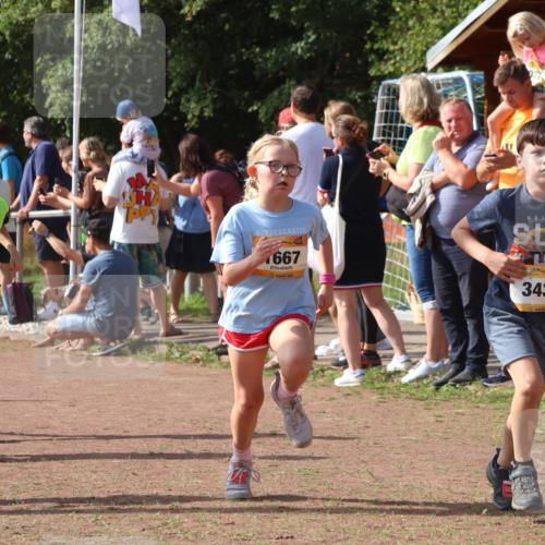 08.09.2024 - Airport Race Strokosch-Dieckow http://msf.ph/oto/7010372 08.09.2024 11:29:42 Ziel 1634, 1636, 1665, 1667, 1681, 1728, 1769, 1789, 1836, 1842, 1844, 1849, 1864, 1916, 1922, 3434 meine-sportfotos.de