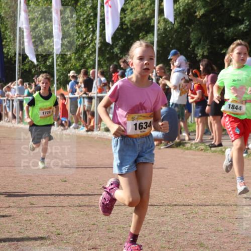 08.09.2024 - Airport Race Strokosch-Dieckow http://msf.ph/oto/7010637 08.09.2024 11:29:45 Ziel 1634, 1665, 1667, 1673, 1681, 1728, 1769, 1789, 1836, 1841, 1842, 1844, 1849, 1868, 1879, 1903, 1916, 1922, 1925, 1928, 3434 meine-sportfotos.de