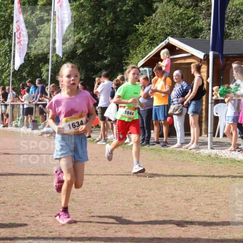 08.09.2024 - Airport Race Strokosch-Dieckow http://msf.ph/oto/7010656 08.09.2024 11:29:46 Ziel 1634, 1665, 1673, 1681, 1712, 1720, 1728, 1769, 1789, 1836, 1841, 1842, 1844, 1868, 1879, 1903, 1916, 1925, 1928, 3434 meine-sportfotos.de