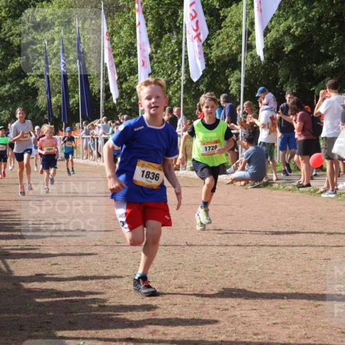 08.09.2024 - Airport Race Strokosch-Dieckow http://msf.ph/oto/7010720 08.09.2024 11:29:47 Ziel 1634, 1665, 1673, 1681, 1712, 1720, 1728, 1769, 1814, 1836, 1841, 1842, 1844, 1868, 1879, 1903, 1916, 1925, 1928, 3409 meine-sportfotos.de