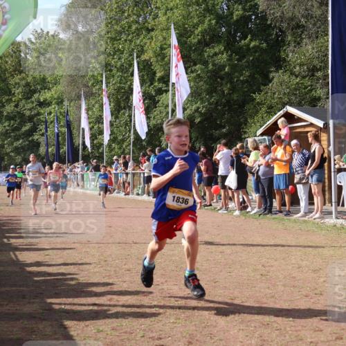 08.09.2024 - Airport Race Strokosch-Dieckow http://msf.ph/oto/7010774 08.09.2024 11:29:47 Ziel 1634, 1665, 1673, 1681, 1712, 1720, 1728, 1769, 1814, 1836, 1841, 1842, 1844, 1868, 1879, 1903, 1916, 1925, 1928, 3409 meine-sportfotos.de