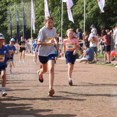 08.09.2024 - Airport Race Strokosch-Dieckow http://msf.ph/oto/7010941 08.09.2024 11:29:50 Ziel 1665, 1673, 1681, 1712, 1720, 1728, 1775, 1814, 1841, 1842, 1844, 1868, 1879, 1903, 1925, 1928, 3409 meine-sportfotos.de