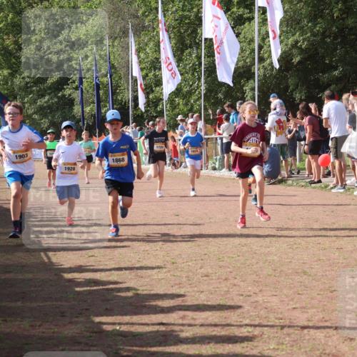 08.09.2024 - Airport Race Strokosch-Dieckow http://msf.ph/oto/7011041 08.09.2024 11:29:52 Ziel 1665, 1673, 1681, 1712, 1720, 1775, 1810, 1814, 1837, 1841, 1842, 1851, 1868, 1879, 1903, 1925, 1928, 3409 meine-sportfotos.de