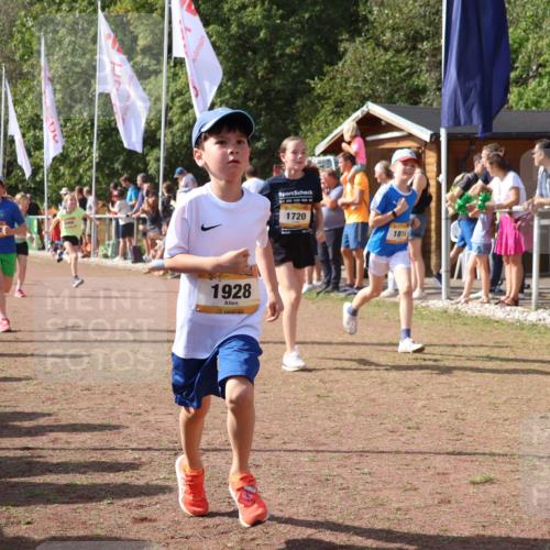 08.09.2024 - Airport Race Strokosch-Dieckow http://msf.ph/oto/7011259 08.09.2024 11:29:55 Ziel 1617, 1638, 1673, 1712, 1720, 1775, 1810, 1814, 1837, 1841, 1851, 1861, 1863, 1868, 1879, 1903, 1925, 1928, 3409 meine-sportfotos.de