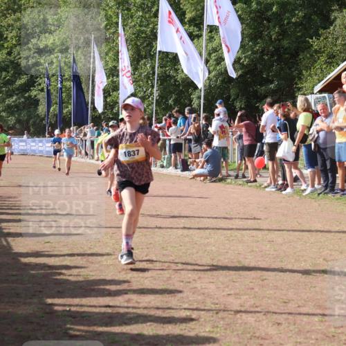08.09.2024 - Airport Race Strokosch-Dieckow http://msf.ph/oto/7011527 08.09.2024 11:29:58 Ziel 1617, 1638, 1672, 1712, 1720, 1775, 1810, 1814, 1837, 1851, 1861, 1863, 3409 meine-sportfotos.de