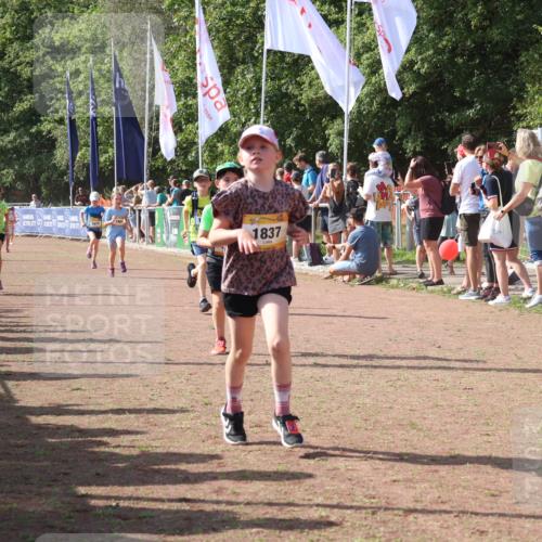 08.09.2024 - Airport Race Strokosch-Dieckow http://msf.ph/oto/7011553 08.09.2024 11:29:59 Ziel 1614, 1617, 1638, 1672, 1775, 1810, 1814, 1837, 1851, 1861, 1863, 3406, 3409, 3453 meine-sportfotos.de