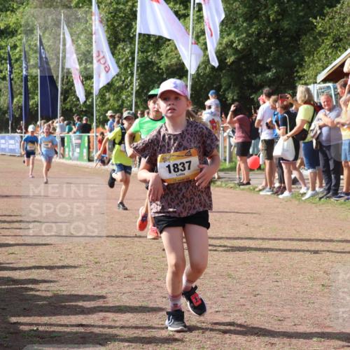 08.09.2024 - Airport Race Strokosch-Dieckow http://msf.ph/oto/7011590 08.09.2024 11:29:59 Ziel 1614, 1617, 1638, 1672, 1775, 1810, 1814, 1837, 1851, 1861, 1863, 3406, 3409, 3453 meine-sportfotos.de