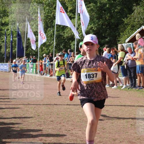 08.09.2024 - Airport Race Strokosch-Dieckow http://msf.ph/oto/7011601 08.09.2024 11:29:59 Ziel 1614, 1617, 1638, 1672, 1775, 1810, 1814, 1837, 1851, 1861, 1863, 3406, 3409, 3453 meine-sportfotos.de