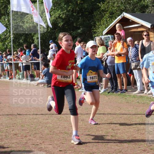 08.09.2024 - Airport Race Strokosch-Dieckow http://msf.ph/oto/7011897 08.09.2024 11:30:04 Ziel 1614, 1617, 1638, 1672, 1743, 1851, 1861, 1863, 1906, 1930, 3406, 3412, 3423, 3453 meine-sportfotos.de