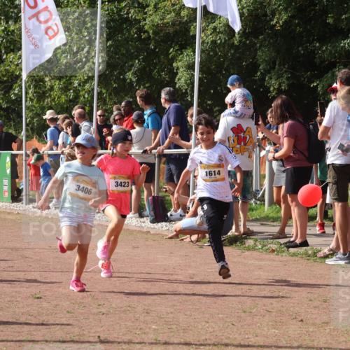 08.09.2024 - Airport Race Strokosch-Dieckow http://msf.ph/oto/7011996 08.09.2024 11:30:07 Ziel 1614, 1672, 1743, 1861, 1863, 1906, 1930, 3406, 3412, 3423, 3447, 3453 meine-sportfotos.de
