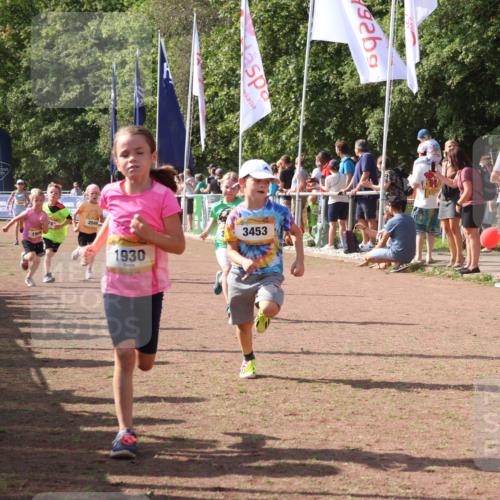 08.09.2024 - Airport Race Strokosch-Dieckow http://msf.ph/oto/7012120 08.09.2024 11:30:08 Ziel 1614, 1672, 1743, 1906, 1930, 3406, 3412, 3423, 3447, 3453 meine-sportfotos.de