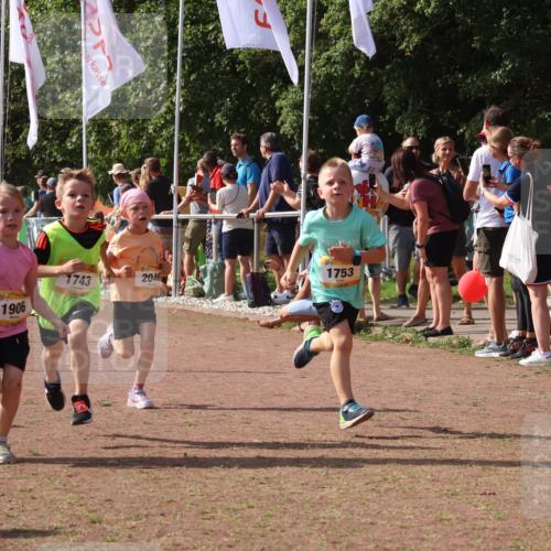 08.09.2024 - Airport Race Strokosch-Dieckow http://msf.ph/oto/7012266 08.09.2024 11:30:11 Ziel 1614, 1743, 1906, 1930, 3406, 3412, 3423, 3447, 3448, 3453 meine-sportfotos.de
