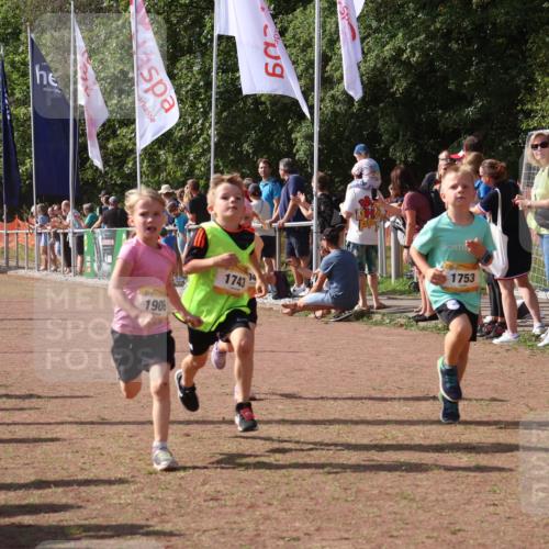 08.09.2024 - Airport Race Strokosch-Dieckow http://msf.ph/oto/7012307 08.09.2024 11:30:12 Ziel 1743, 1906, 1930, 3412, 3423, 3447, 3448 meine-sportfotos.de