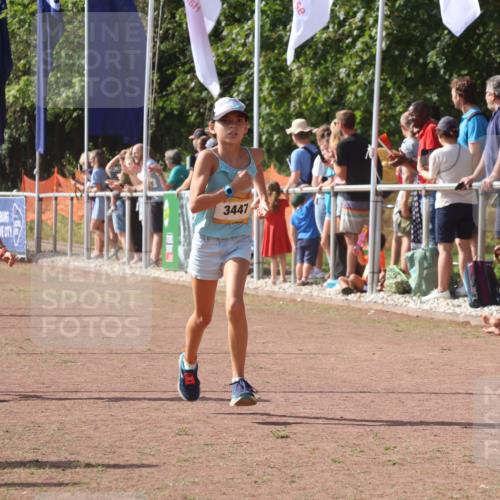 08.09.2024 - Airport Race Strokosch-Dieckow http://msf.ph/oto/7012379 08.09.2024 11:30:14 Ziel 1743, 1906, 3412, 3447, 3448 meine-sportfotos.de