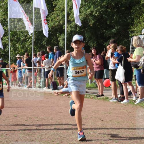 08.09.2024 - Airport Race Strokosch-Dieckow http://msf.ph/oto/7012456 08.09.2024 11:30:16 Ziel 1677, 1682, 1684, 1805, 1816, 1906, 3424, 3445, 3447, 3448, 3449 meine-sportfotos.de