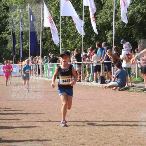08.09.2024 - Airport Race Strokosch-Dieckow http://msf.ph/oto/7012487 08.09.2024 11:30:16 Ziel 1677, 1682, 1684, 1805, 1816, 1906, 3424, 3445, 3447, 3448, 3449 meine-sportfotos.de
